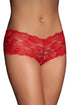 Sexy Red Lace Naughty Knicker