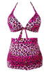 Sexy Rosy Leopard Print Retro High Waist 2 Pieces Plus Swimsuit