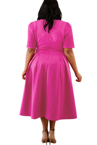 Sexy Rosy Plus Size Pleat Flare Dress