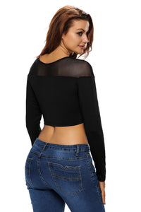 Sexy Seamless Mesh Inlay Long Sleeved Black Cropped Top
