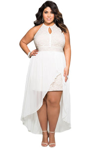 Sexy Stylish Lace Special Occasion Plus Size Dress