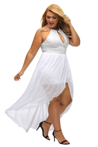 Sexy Stylish Lace Special Occasion Plus Size Dress