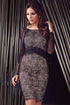 Sheer Mesh Insert V Back Vintage Dress