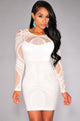White Lace Nude Illusion Long Sleeves Bodycon Dress