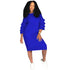 Blue Rufflea Dress #Blue #Ruffle #Round Neck